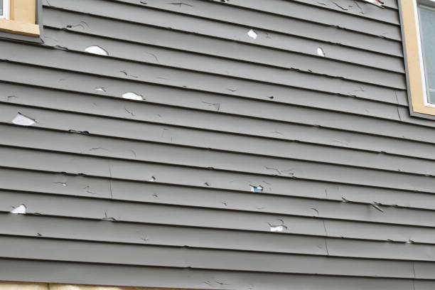 Professional Siding in Horseshoe Bend, AR